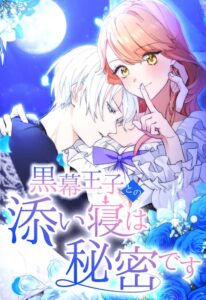 The Night I Spend With the Mastermind Prince Is My Secret